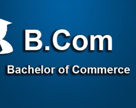 Bachelor of Commerce (Semester V)